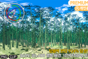 [360도 파노라마] 숲 대나무ver.